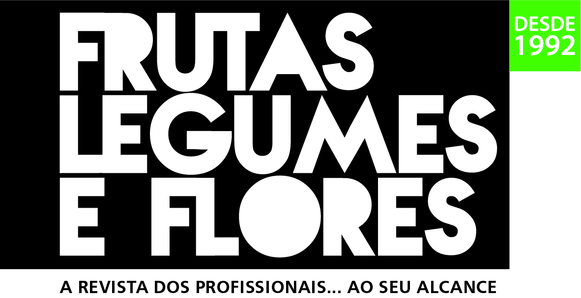 Logo 4